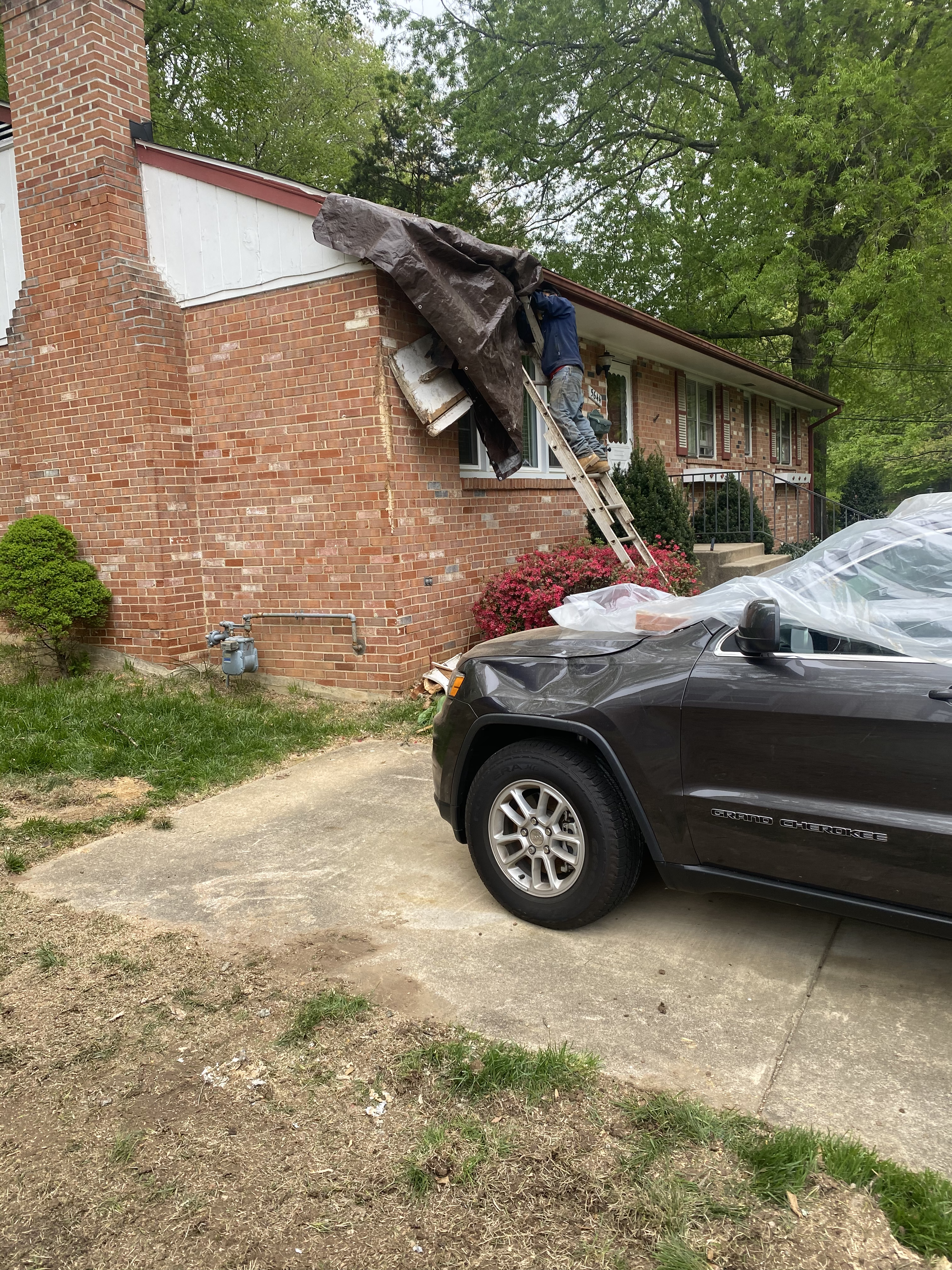 After: Expert Repair & Cleanup